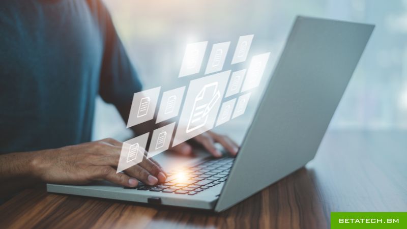 Professional managed IT services and support team in Bermuda