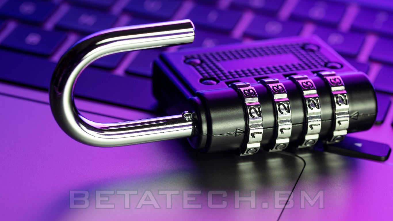 Security Vulnerability Assessment Process